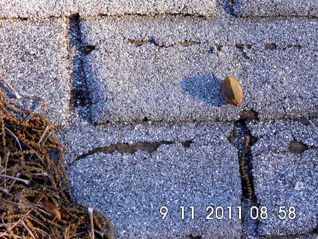 Shingles in need of replacement